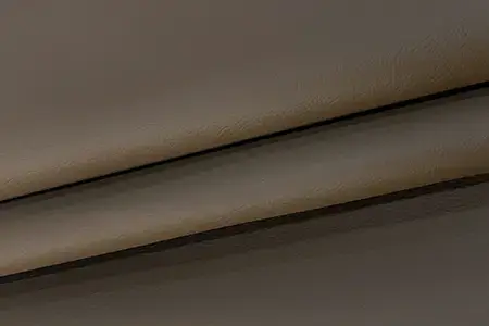 Immagine Terra