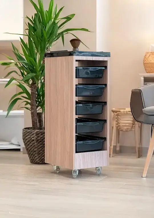 OM System Design - Carrelli